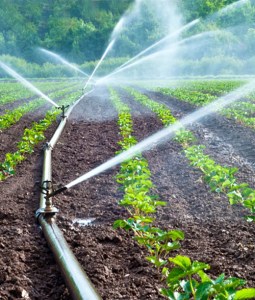 sprinkler_7.jpeg