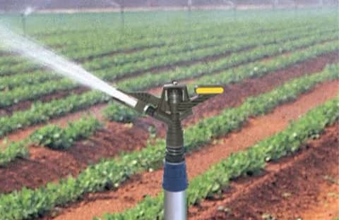 sprinkler_8.jpeg